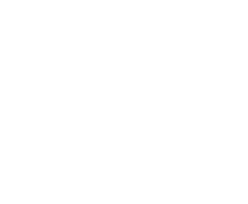 Nick Matthew Foundation Logo